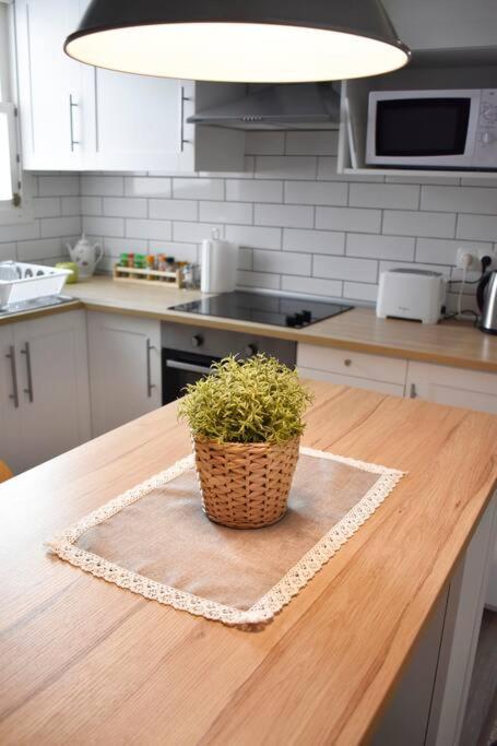 Departamento Centrico Disfrutar En Familia * Sagunto